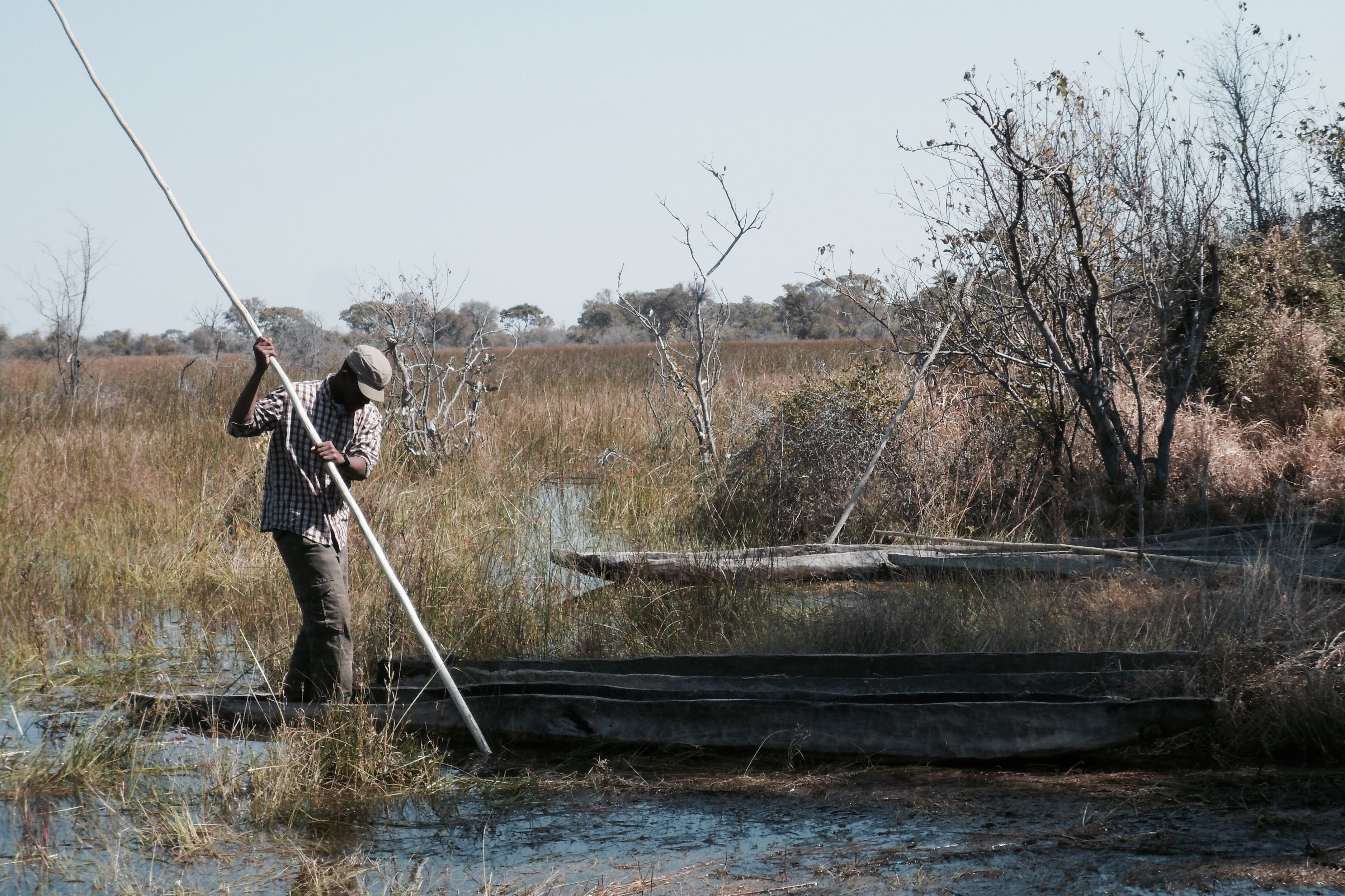 Edmund poling a mokoro through the Okavango Delta